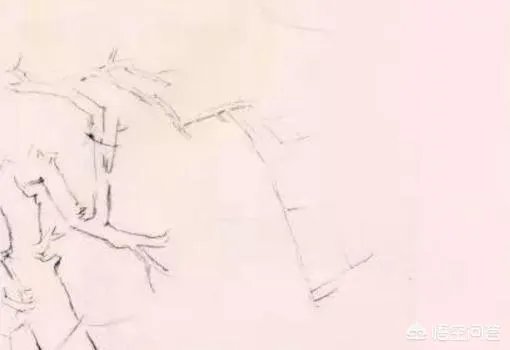 国画梅花图解教程？