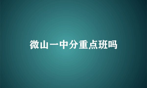 微山一中分重点班吗