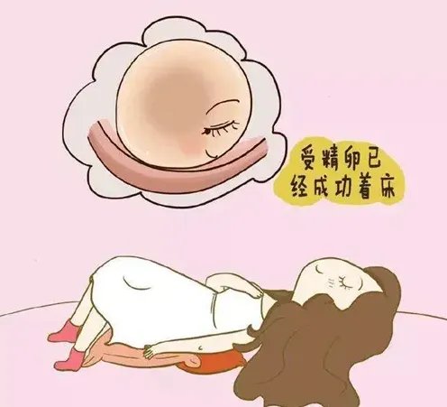 苏州供卵那家好？-苏州捐卵捐精多少钱？