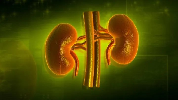 肾病症状有哪些