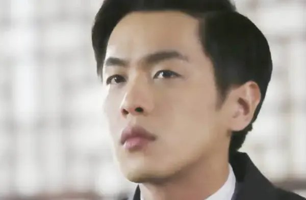 黑狐之风影演员表