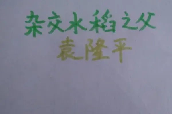 袁隆平手抄报怎么画图片大全