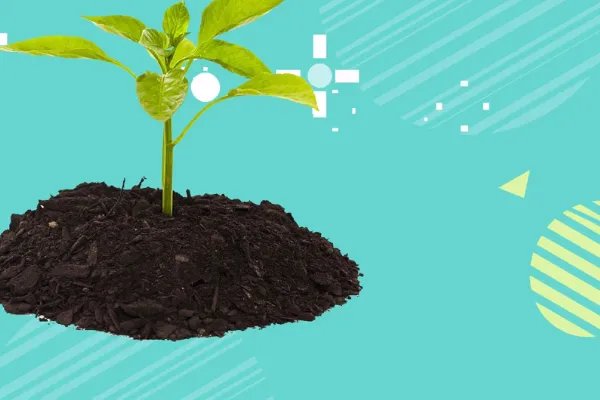 植物记录卡怎么写