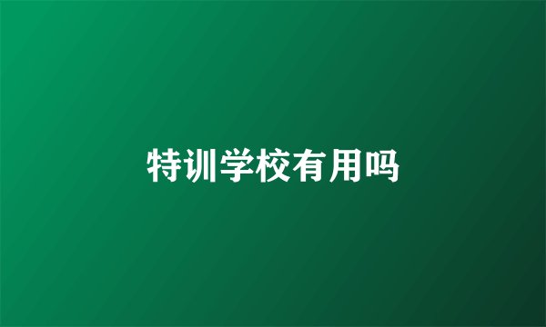 特训学校有用吗