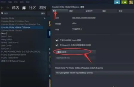 csgo国服启动项怎么设置