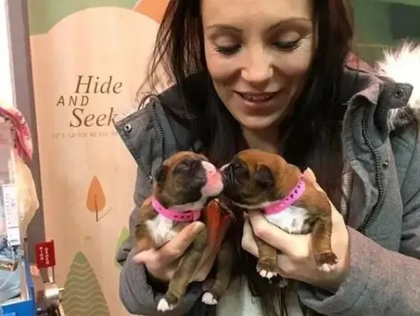 贫穷限制了想象！女子花25万克隆去世宠物狗，真能给她带来情感寄托？