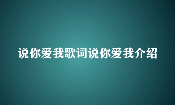 说你爱我歌词说你爱我介绍