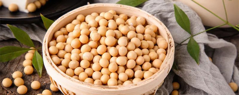 日本纳豆是什么东西 日本纳豆指的是什么东西