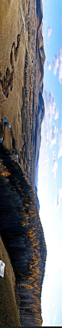 大兴安岭,这么美,你会去看看吗?