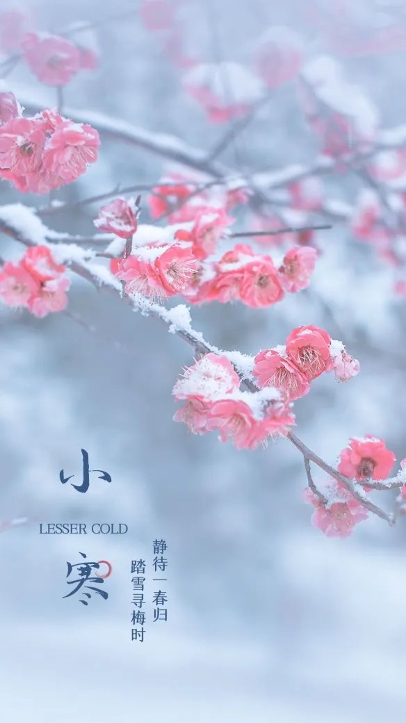 小寒图片大全 2023小寒图片