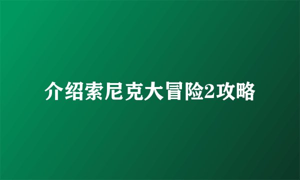 介绍索尼克大冒险2攻略