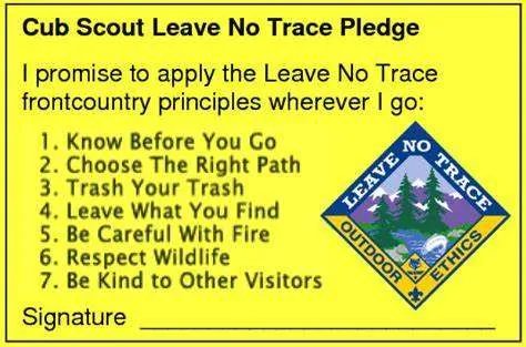 trace是什么意思