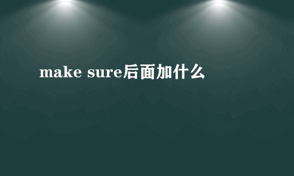 make sure后面加什么
