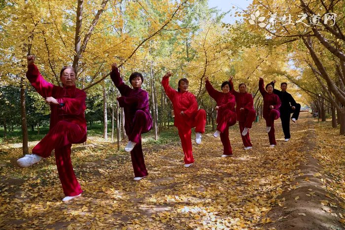 孕妇感冒咳嗽吃什么药