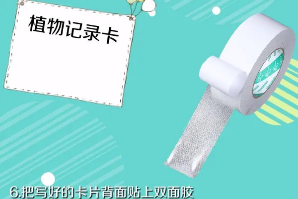 植物记录卡怎么写