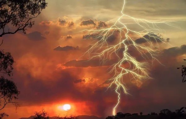 “造物无言却有情，每于寒尽觉春生。”出自哪首诗？