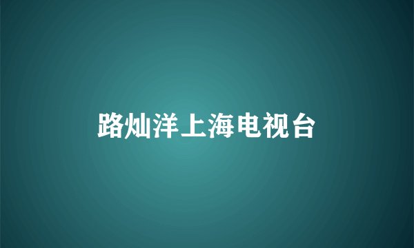 路灿洋上海电视台