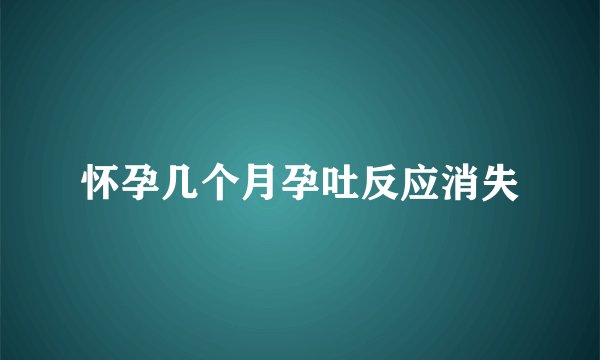 怀孕几个月孕吐反应消失
