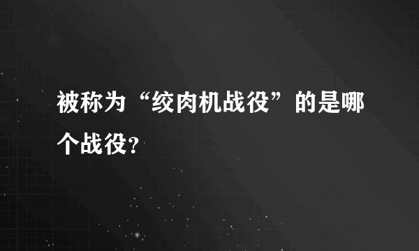 被称为“绞肉机战役”的是哪个战役？