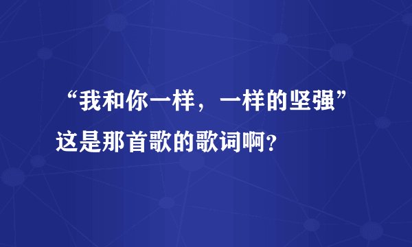 “我和你一样，一样的坚强”这是那首歌的歌词啊？