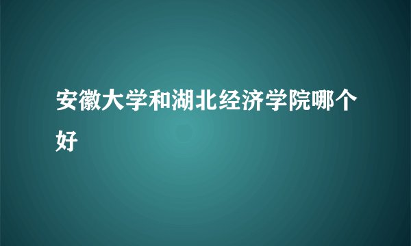 安徽大学和湖北经济学院哪个好