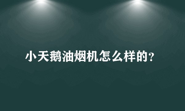 小天鹅油烟机怎么样的？