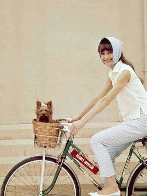 世界上最漂亮的人照片