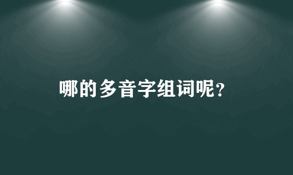 哪的多音字组词呢？