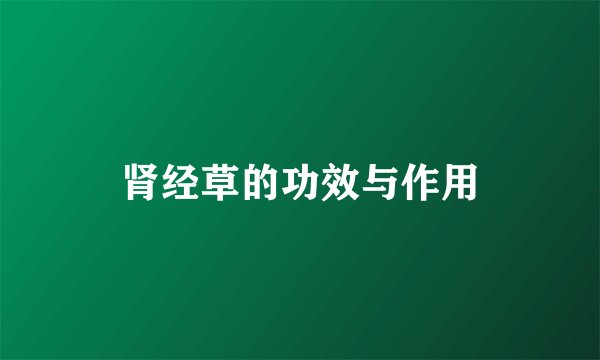 肾经草的功效与作用