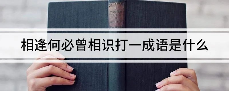 相逢何必曾相识打一成语是什么