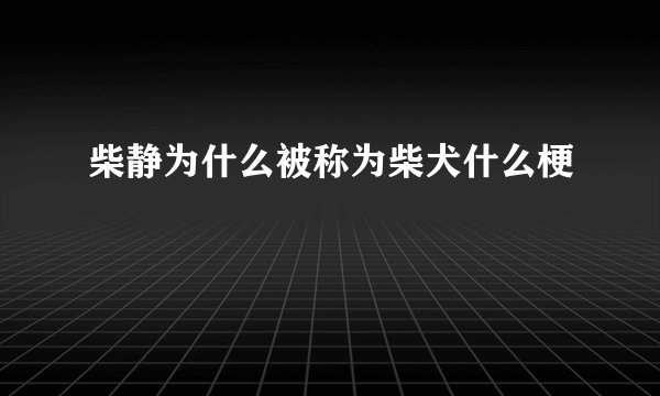 柴静为什么被称为柴犬什么梗