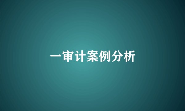 一审计案例分析