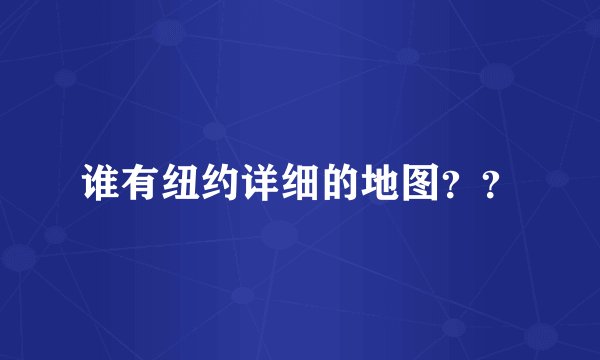 谁有纽约详细的地图？？