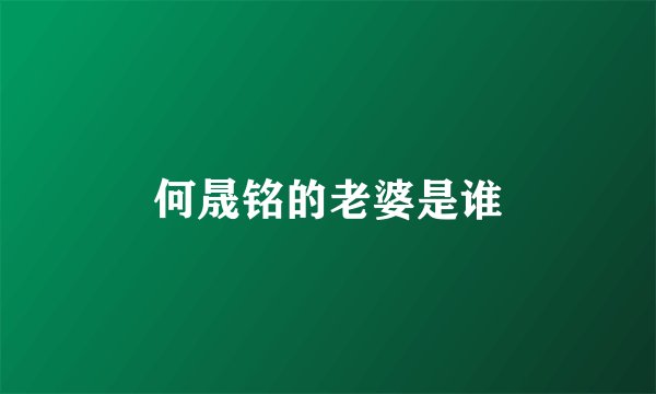 何晟铭的老婆是谁