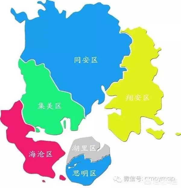 厦门有什么上市公司？