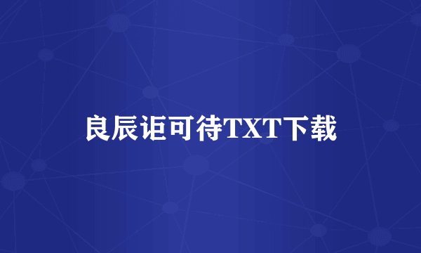 良辰讵可待TXT下载