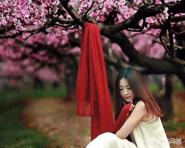 蒋大为唱的那首《在那桃花盛开的地方》，到底是哪个地方？