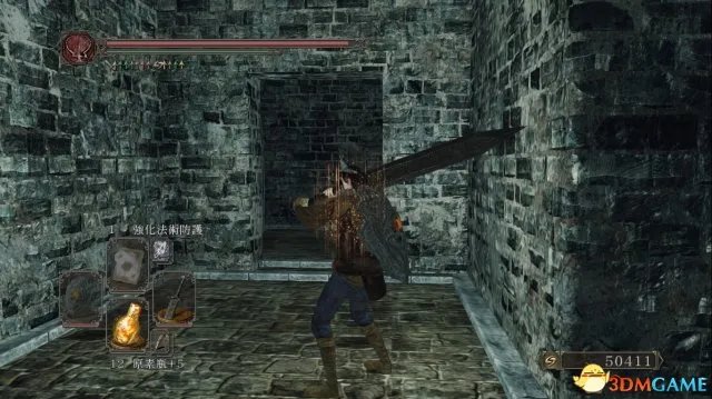 黑暗之魂2原罪学者全隐藏门位置一览 隐藏门在哪