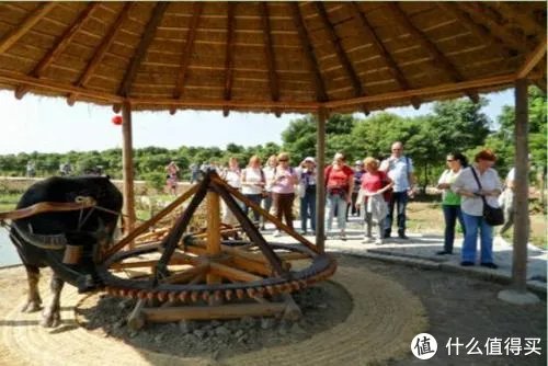 阳澄湖景区游玩攻略 阳澄湖莲花岛全攻略