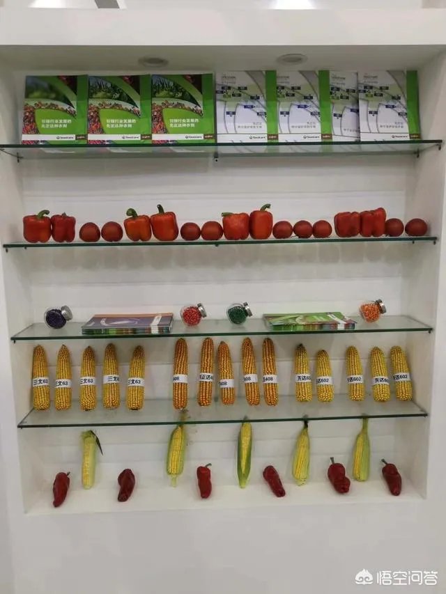 杨凌农高会有哪些新品种?