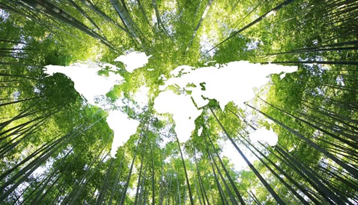 生态资源包括哪些方面 生态资源包括什么