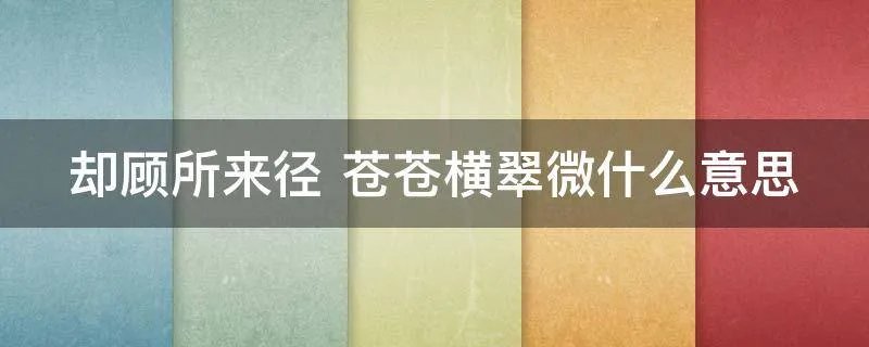 却顾所来径 苍苍横翠微什么意思