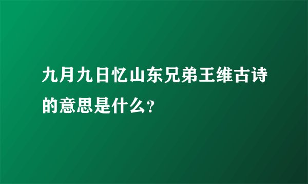九月九日忆山东兄弟王维古诗的意思是什么？