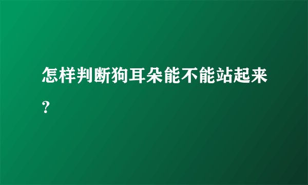 怎样判断狗耳朵能不能站起来？