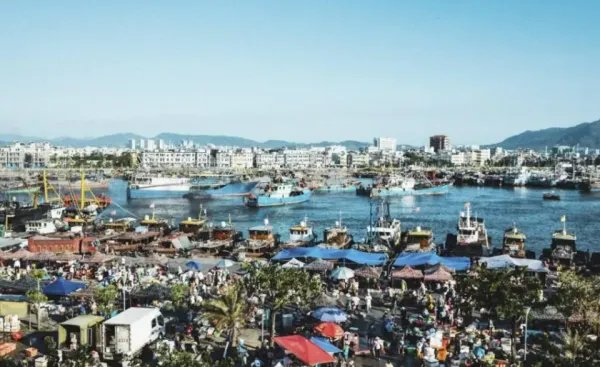 超550例感染者，全域静态管理，三亚疫情为何会爆发？