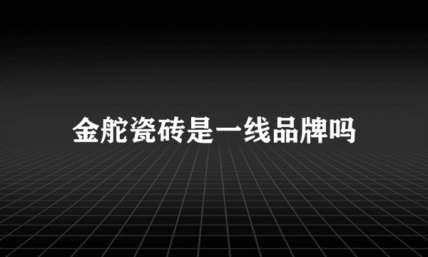 金舵瓷砖是一线品牌吗
