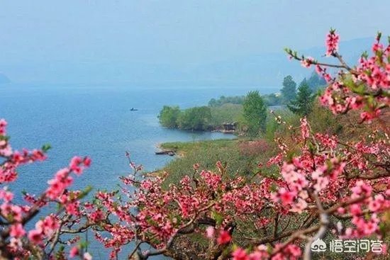 蒋大为唱的那首《在那桃花盛开的地方》，到底是哪个地方？