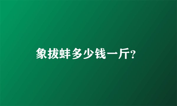 象拔蚌多少钱一斤？