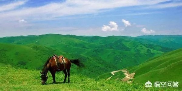 天水有哪些主要景点？