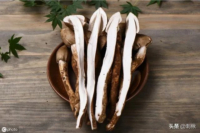 鸡枞与白毒伞的区别是什么？